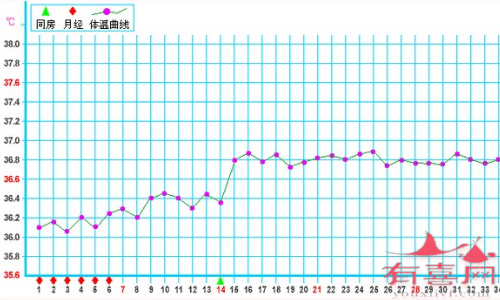 基础体温验孕