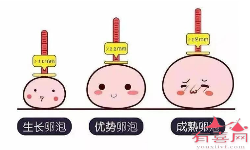 拮抗剂方案促排需要多少天