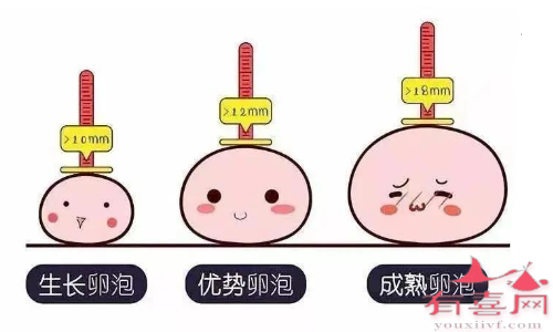 具体选择何种方案需根据实际情况来看