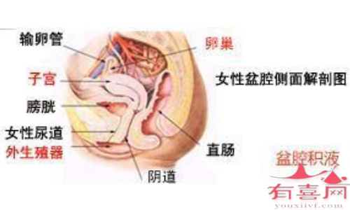 身体没有异常情况的话，不算严重