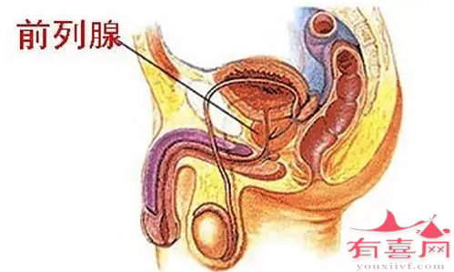 科学方法教你7个方法自测前列腺炎