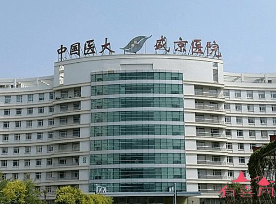 中国医科大学附属盛京医院